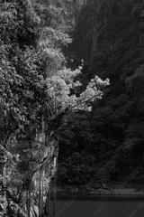 preview bw