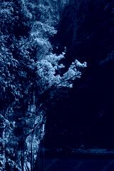 preview cold