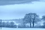 preview cold