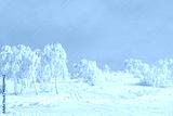 preview cold