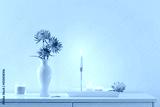 preview cold