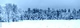 preview cold