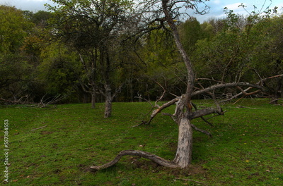 image to crop