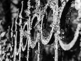 preview bw