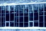 preview cold