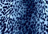 preview cold