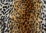 preview original
