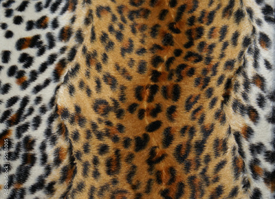 image to crop