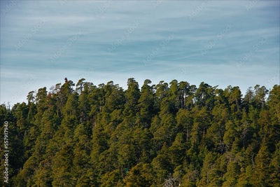 image to crop