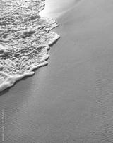 preview bw