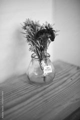 preview bw