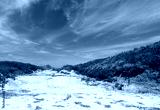 preview cold