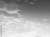 preview bw