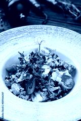 preview cold