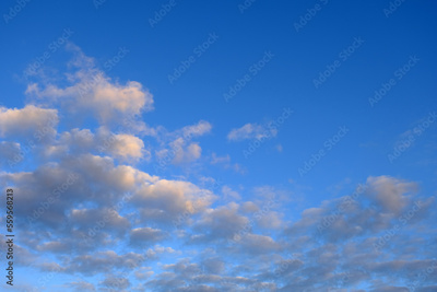 image to crop