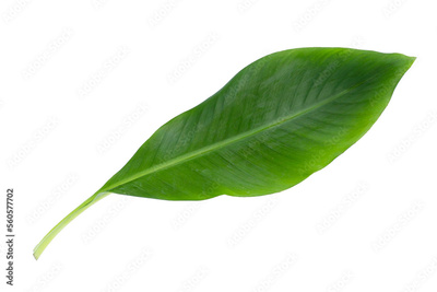 image to crop