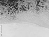 preview bw