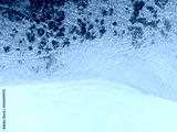 preview cold