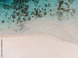 preview original