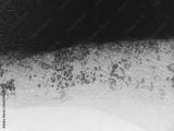 preview bw
