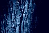 preview cold