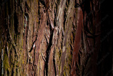 preview original