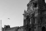 preview bw