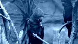 preview cold