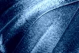 preview cold