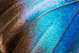 preview original