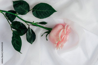 image to crop