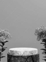 preview bw