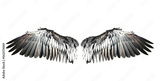preview original