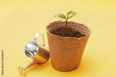 image to crop