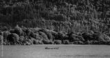 preview bw