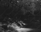 preview bw