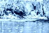preview cold