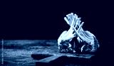 preview cold