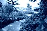 preview cold