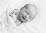 preview bw