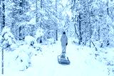 preview cold