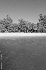 preview bw