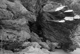 preview bw