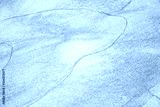 preview cold