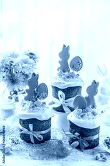 preview cold