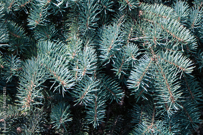 image to crop
