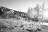 preview bw