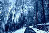 preview cold