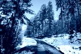 preview cold