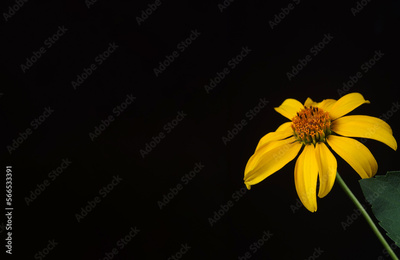 image to crop
